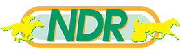 NDR logo